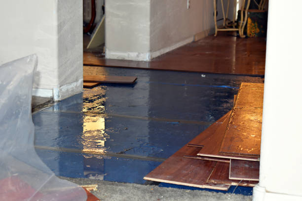 Professional Burst Pipe Cleanup technician working in Oglesby, TX